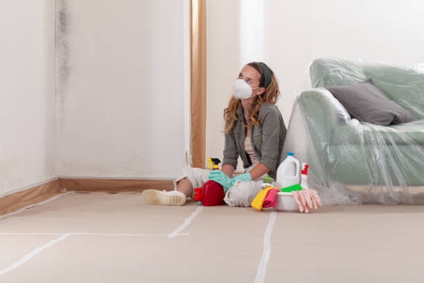 Reliable Mold Testing contractor in Nederland, CO by WQB Mold Removal
